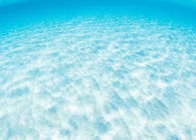Free Stock Images Of Ocean HD Wallpapers Backgrounds Images